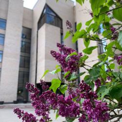 Фото Отель Санаторий Введенское