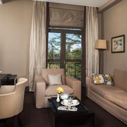 фото 31 RODINA Grand Hotel & SPA (Родина)
