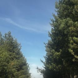 Фото Отель Шуколово