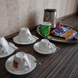 Фото Отель Родина