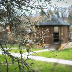 Фото Отель Уютные ёлы