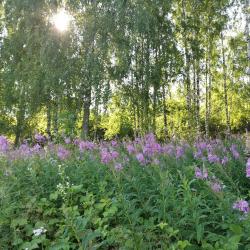 Фото Отель Усадьба