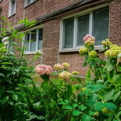 Фото Апартаменты Savina на улице Пролетарская