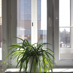 Фото Отель MaxRealty24 на шоссе Волоколамское 92