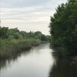 Фото Отель Бенелюкс Дон