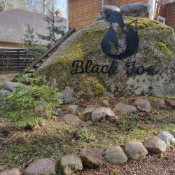 Коттедж стандарт