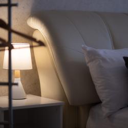 Фото Апартаменты на проспекте Ленина 28