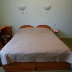 2-местный номер стандарт с 1 двуспальной кроватью