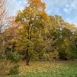 Фото Отель Дом на улице Садовой 37