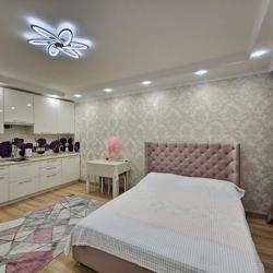 1-комнатные апартаменты студия