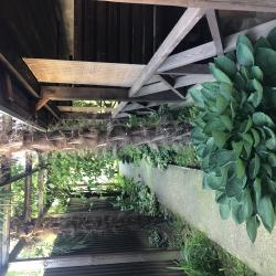 Фото Отель Alaku Hotel (Алаку)