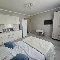 1-комнатные апартаменты студия