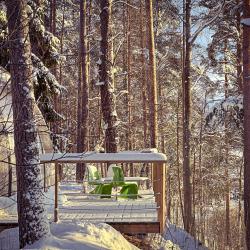 Коттедж премиум