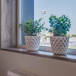 2-местные апартаменты улучшенные