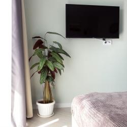 Фото Апартаменты на улице Галактионовская 83