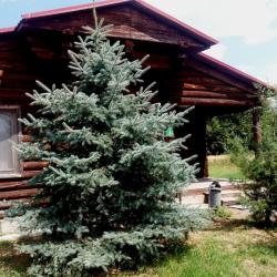 Фото Отель Рыбалкино
