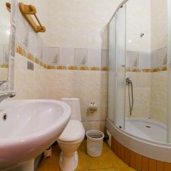 Фото Отель Родина