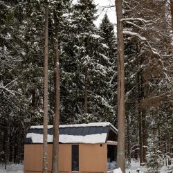 Номер студия семейный