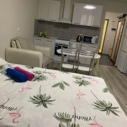 Апартаменты студия 60