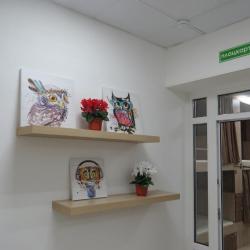 Кровать в общем 12-местном номере