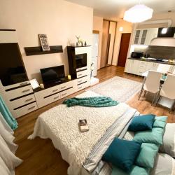 Фото Симбирские апартаменты на улице Александра Невского 4А