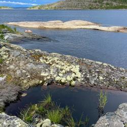 Фото Отель Гостевой комплекс Сосны