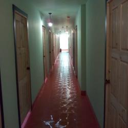 фото 39 Вежливый Лось на Ботаническом саду