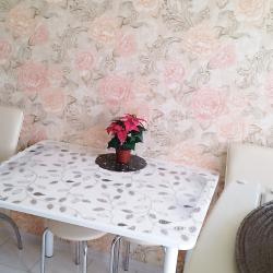 Фото Апартаменты на улице Рогожникова 17