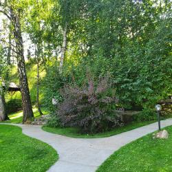 Фото Отель Каменный цветок