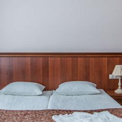 Номер стандарт с 1 двуспальной кроватью (с завтраком)