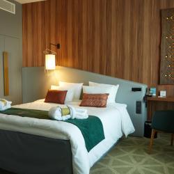 Фото Отель Mercure Saransk Center (Меркюр Центр)