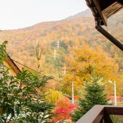 Фото Отель Альпийский двор