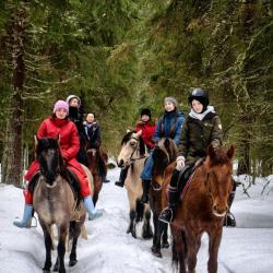 Фото Отель Дом Дракона в Яви-Нави