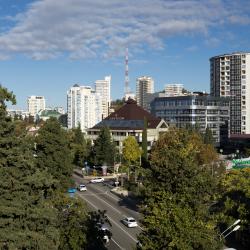 Фото Отель Lavicon Apart Sochi 4* (Лавикон Апарт )