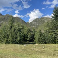 Коттедж эконом №3