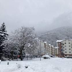 Фото Отель Golden Holiday (Голден Холидей) на улице Эстонская 37 корпус 5