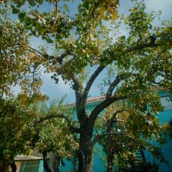 Фото Отель Алаколь