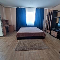 Фото Апартаменты на улице Антона Петрова 254