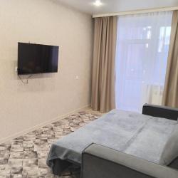 1-комнатные апартаменты улучшенные с 1 двуспальной кроватью