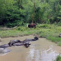 Фото Отель База отдыха Страна души