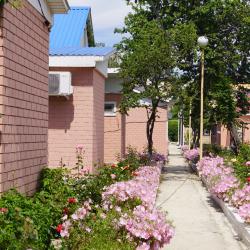 Фото Отель Пансионат Соловей