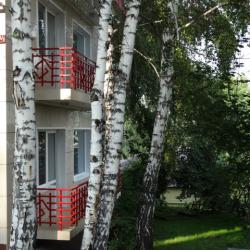 фото 2 Рыжий пёс
