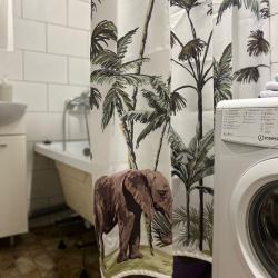 Апартаменты студия тропики