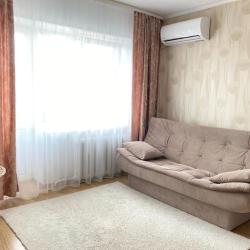 Фото Апартаменты на проспекте 100-летия а