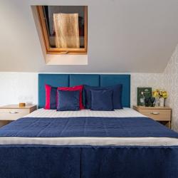 Номер люкс с 1 двуспальной кроватью