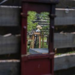 Фото Отель Гарри и философский чан