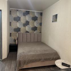 Фото Апартаменты на проспекте Ленина 157