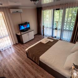 Номер делюкс с 1 двуспальной кроватью