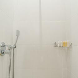 Provence стандарт №50