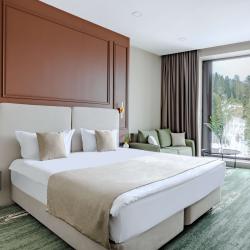 Номер стандарт Plus